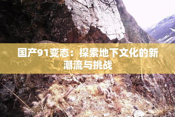 国产91变态：探索地下文化的新潮流与挑战