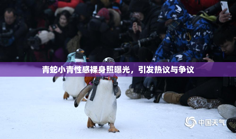 青蛇小青性感裸身照曝光，引发热议与争议