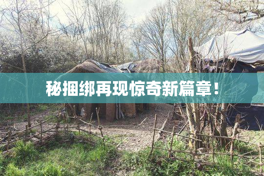 秘捆绑再现惊奇新篇章！