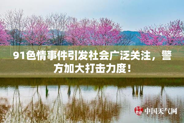 91色情事件引发社会广泛关注，警方加大打击力度！