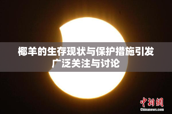 椰羊的生存现状与保护措施引发广泛关注与讨论