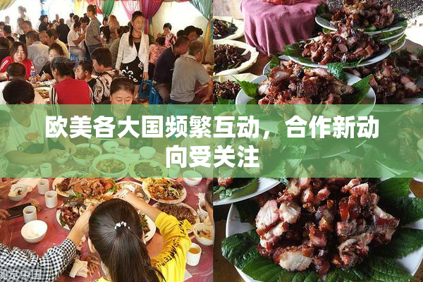 欧美各大国频繁互动，合作新动向受关注