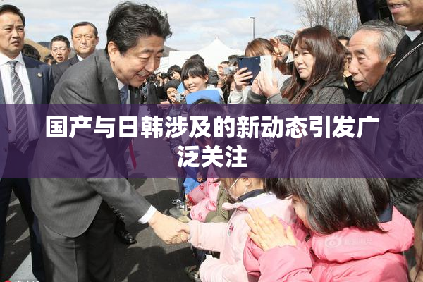国产与日韩涉及的新动态引发广泛关注