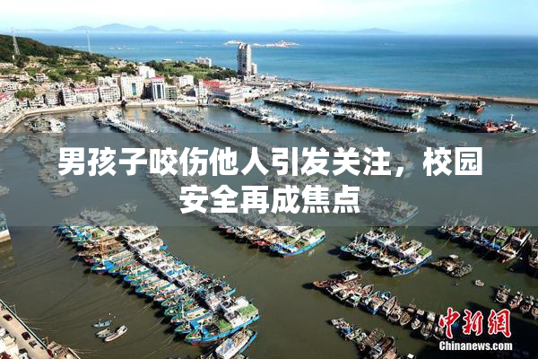 男孩子咬伤他人引发关注，校园安全再成焦点