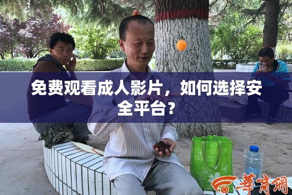 免费观看成人影片，如何选择安全平台？