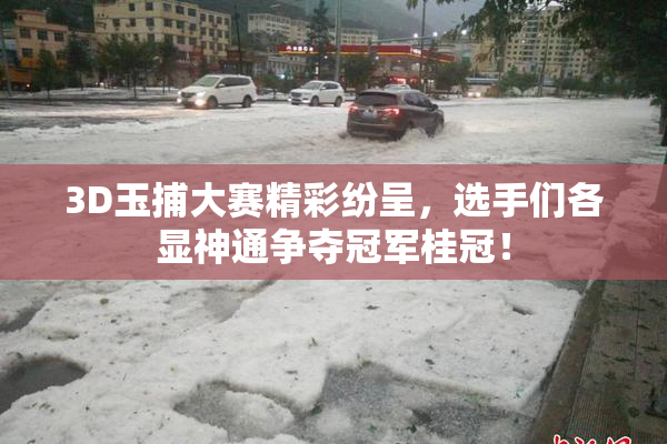 3D玉捕大赛精彩纷呈，选手们各显神通争夺冠军桂冠！