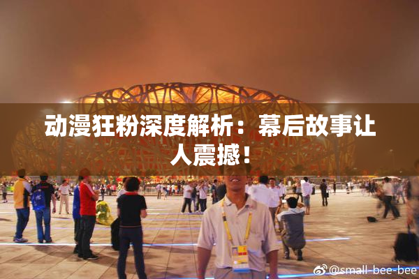 动漫狂粉深度解析：幕后故事让人震撼！