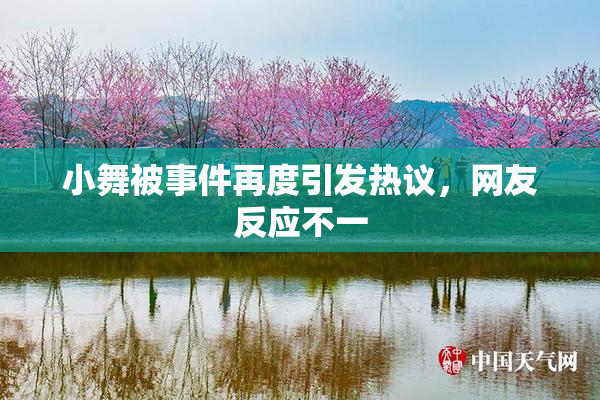 小舞被事件再度引发热议，网友反应不一