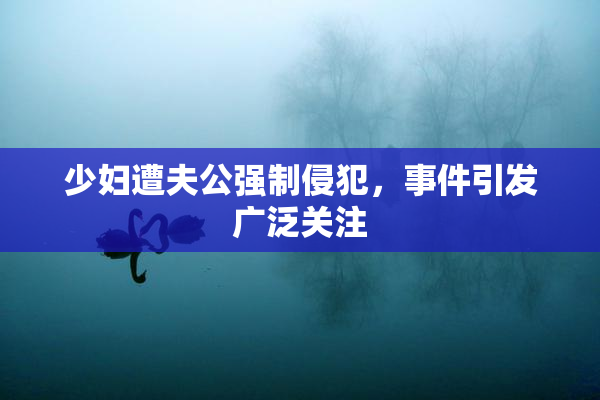 少妇遭夫公强制侵犯，事件引发广泛关注