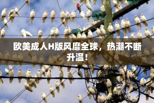欧美成人H版风靡全球，热潮不断升温！