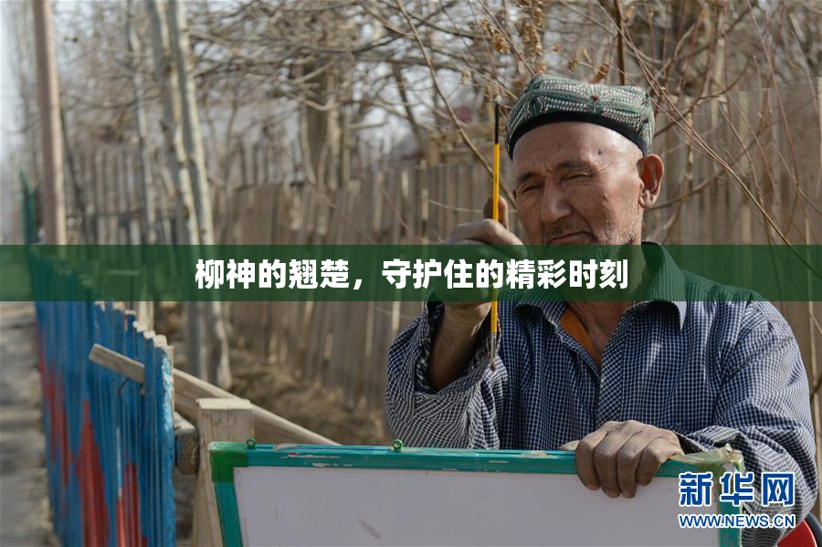 柳神的翘楚，守护住的精彩时刻