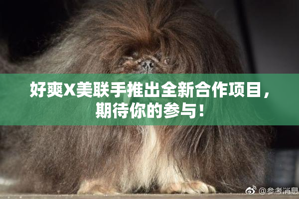 好爽X美联手推出全新合作项目，期待你的参与！