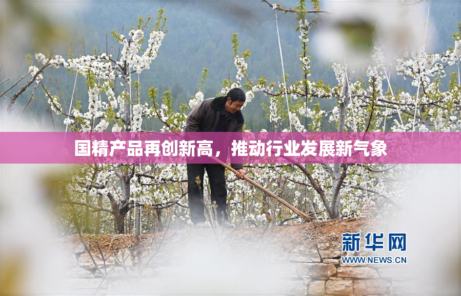 国精产品再创新高，推动行业发展新气象