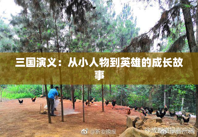 三国演义：从小人物到英雄的成长故事