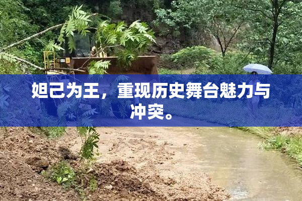 妲己为王，重现历史舞台魅力与冲突。