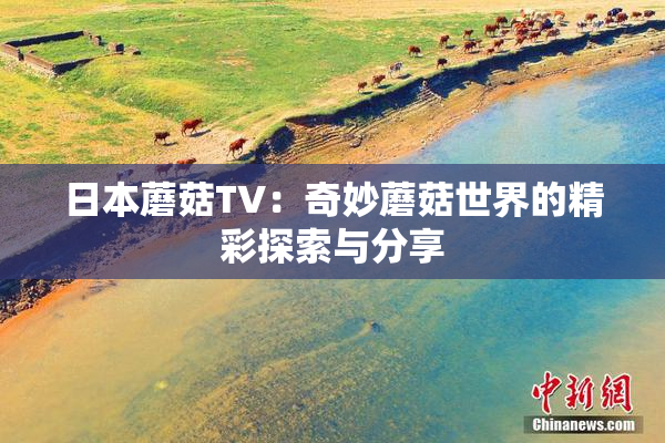 日本蘑菇TV：奇妙蘑菇世界的精彩探索与分享