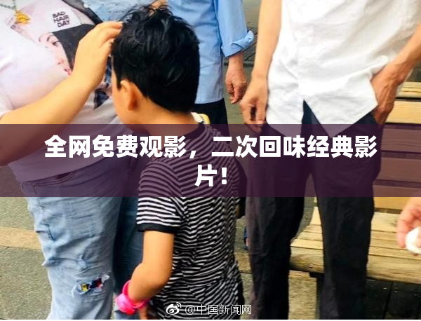 全网免费观影，二次回味经典影片！