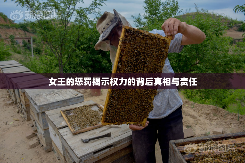 女王的惩罚揭示权力的背后真相与责任