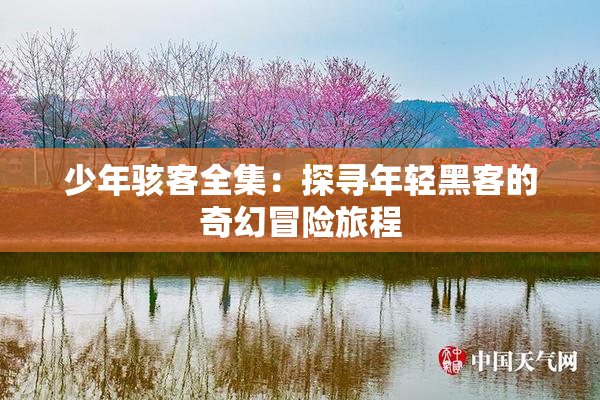 少年骇客全集：探寻年轻黑客的奇幻冒险旅程
