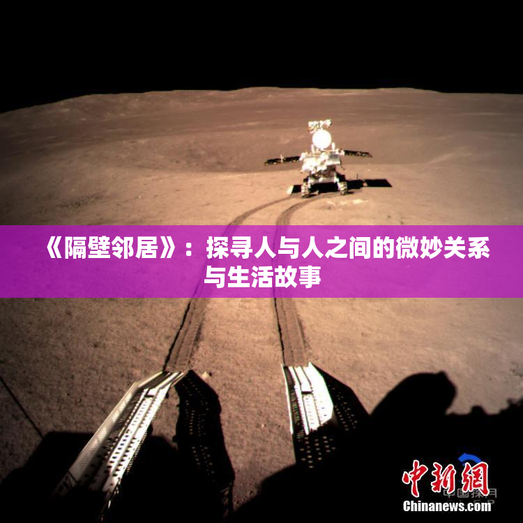 《隔壁邻居》：探寻人与人之间的微妙关系与生活故事