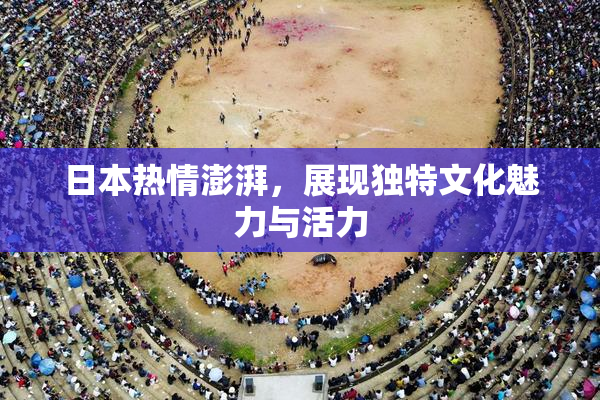 日本热情澎湃，展现独特文化魅力与活力