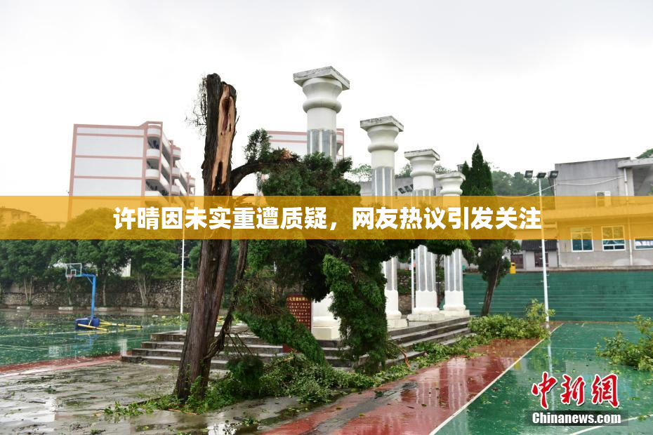 许晴因未实重遭质疑，网友热议引发关注