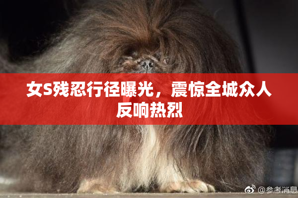 女S残忍行径曝光，震惊全城众人反响热烈