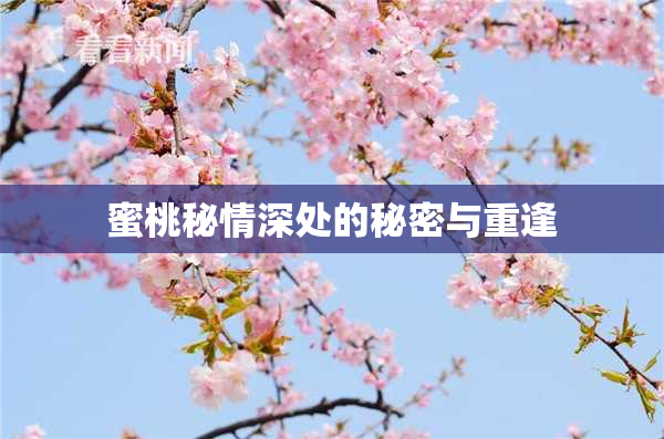 蜜桃秘情深处的秘密与重逢