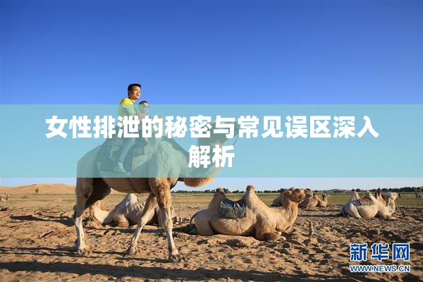女性排泄的秘密与常见误区深入解析