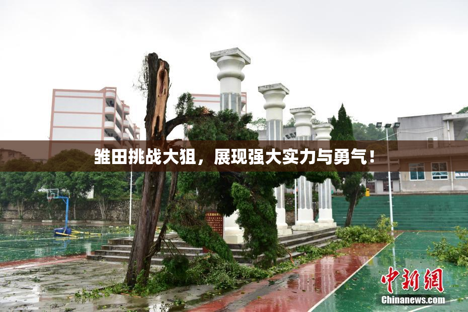 雏田挑战大狙，展现强大实力与勇气！