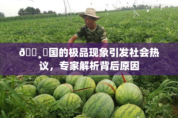 🌸‌国的极品现象引发社会热议，专家解析背后原因
