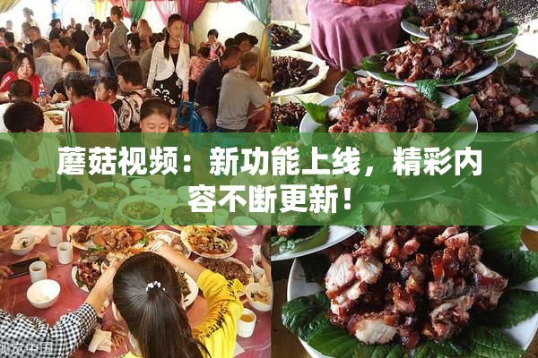 蘑菇视频：新功能上线，精彩内容不断更新！