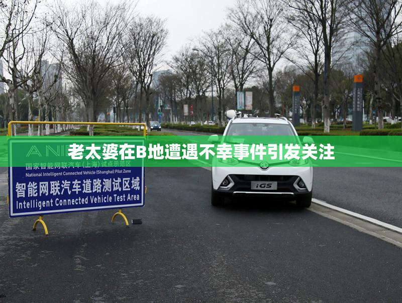 老太婆在B地遭遇不幸事件引发关注