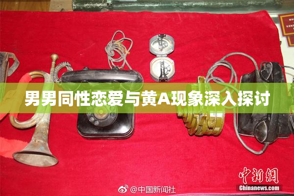 男男同性恋爱与黄A现象深入探讨