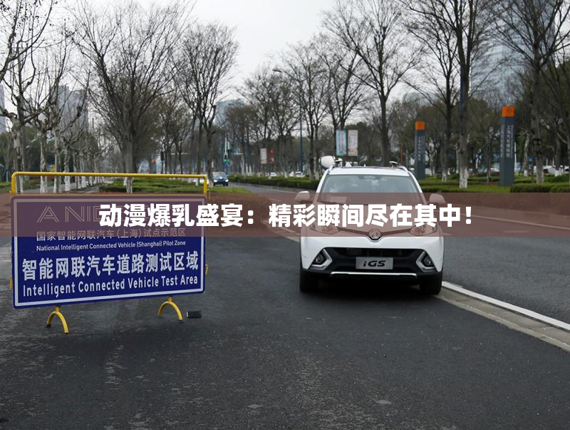动漫爆乳盛宴：精彩瞬间尽在其中！