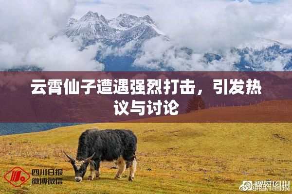 云霄仙子遭遇强烈打击，引发热议与讨论