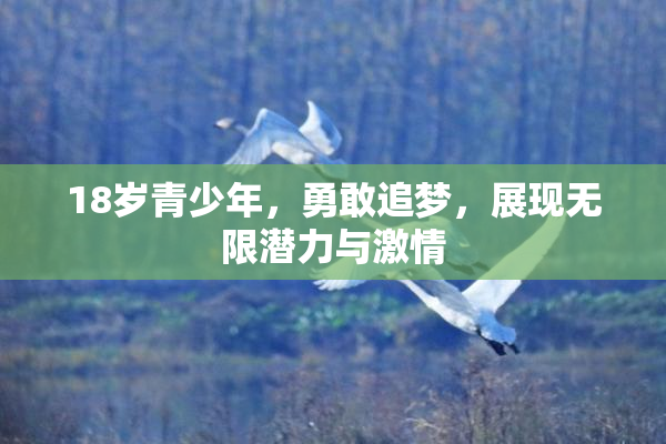 18岁青少年，勇敢追梦，展现无限潜力与激情
