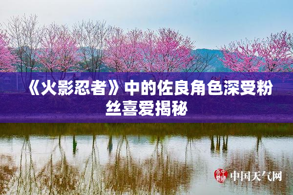 《火影忍者》中的佐良角色深受粉丝喜爱揭秘