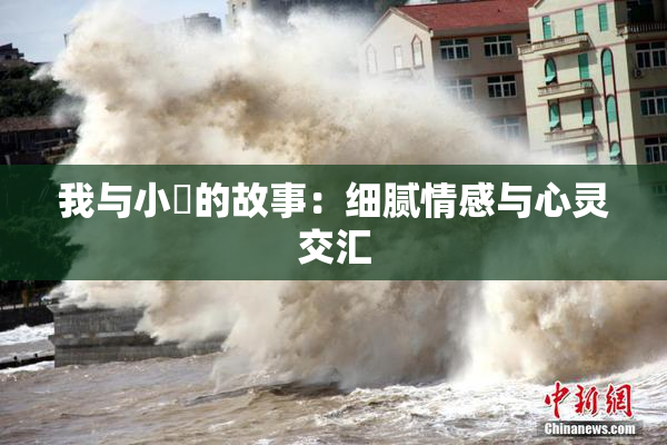 我与小娻的故事：细腻情感与心灵交汇