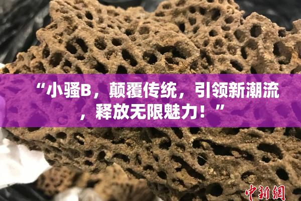 “小骚B，颠覆传统，引领新潮流，释放无限魅力！”