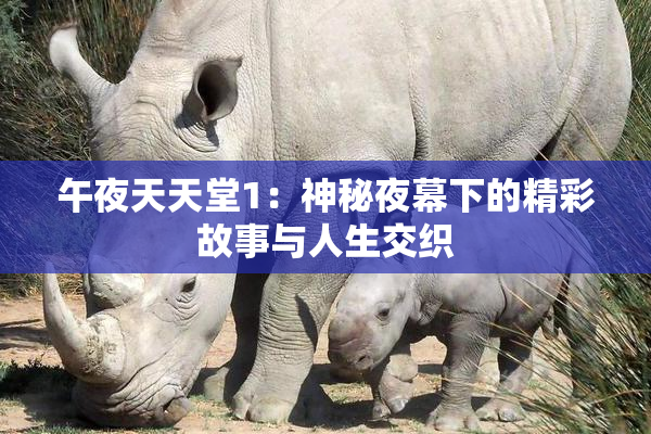午夜天天堂1：神秘夜幕下的精彩故事与人生交织