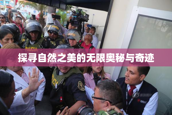探寻自然之美的无限奥秘与奇迹