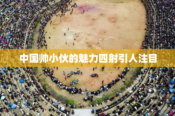 中国帅小伙的魅力四射引人注目