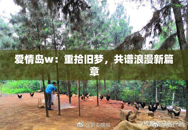 爱情岛w：重拾旧梦，共谱浪漫新篇章