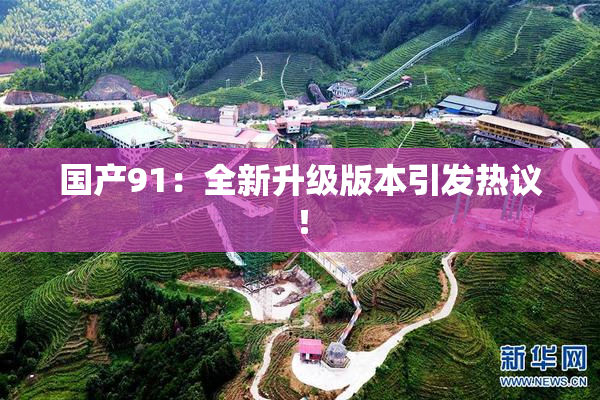 国产91：全新升级版本引发热议！