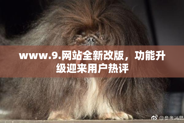 www.9.网站全新改版，功能升级迎来用户热评