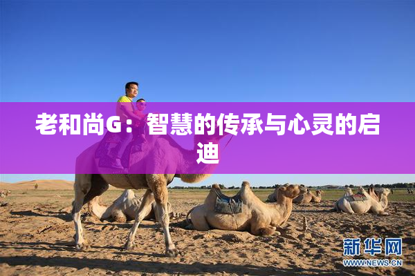 老和尚G：智慧的传承与心灵的启迪