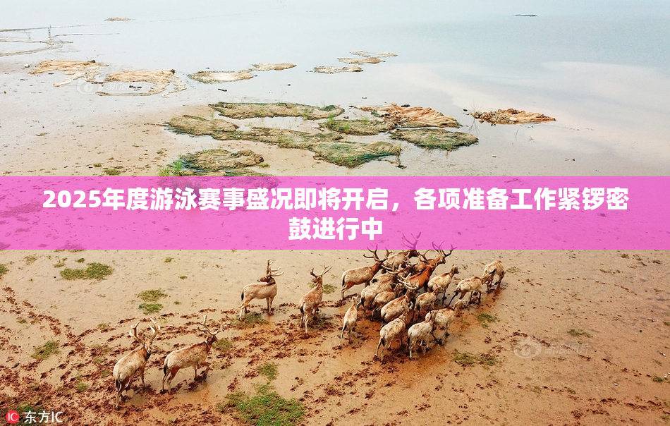 2025年度游泳赛事盛况即将开启，各项准备工作紧锣密鼓进行中