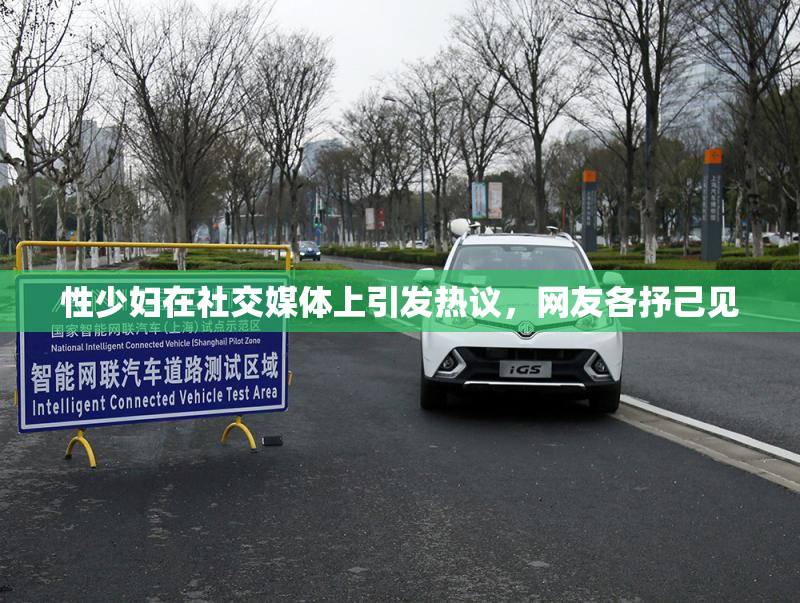 性少妇在社交媒体上引发热议，网友各抒己见