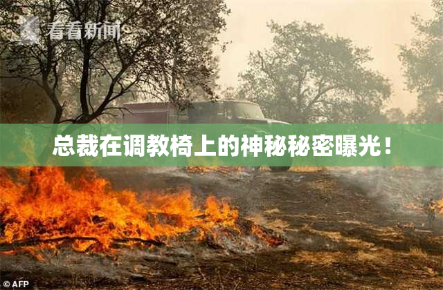 总裁在调教椅上的神秘秘密曝光！